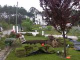 Uma “nova árvore” no jardim | Daniela Sofia Carvalheiro Buco - 12 anos (EB 2,3 + S João Garcia Bacelar, Cantanhede)